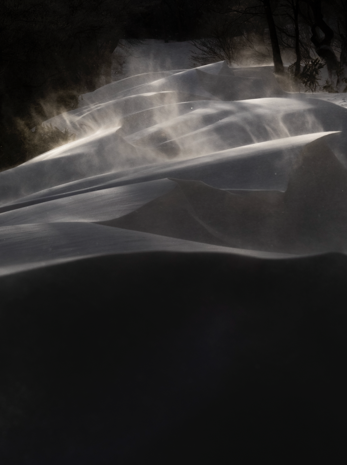 snow eave