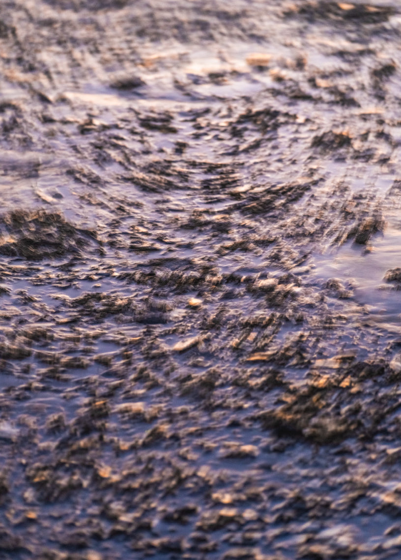 廻流