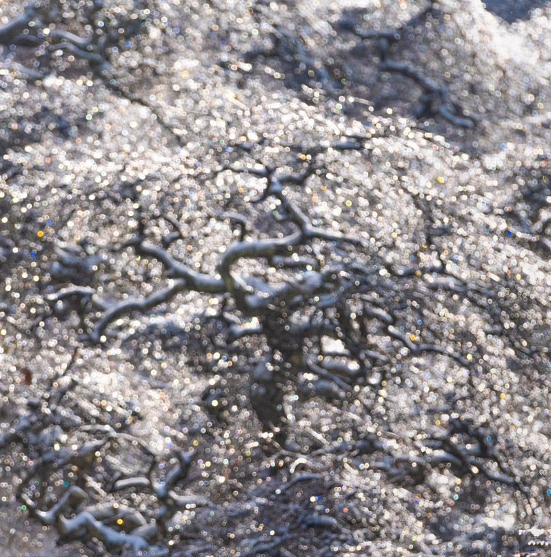 Diamond tree